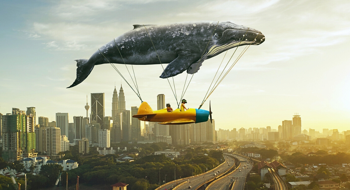 Ilustration eines Walfisches der über eine Stadt fliegt